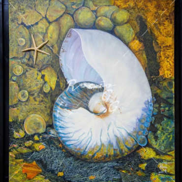 Santuario del Nautilus