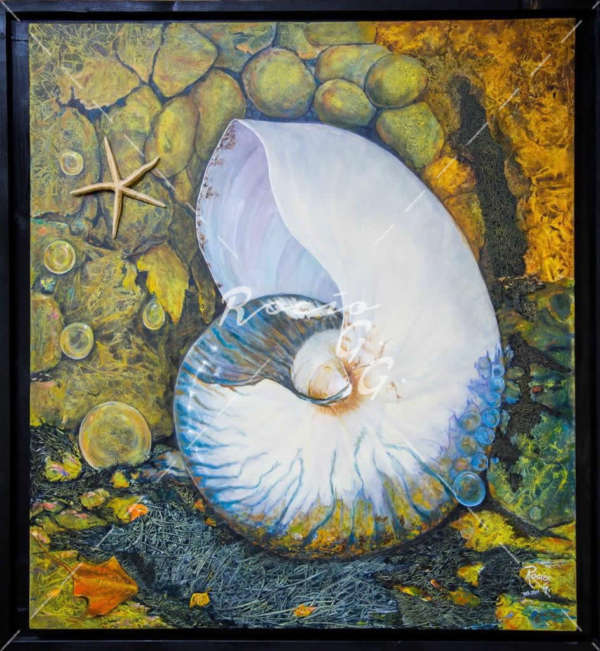 Santuario del Nautilus