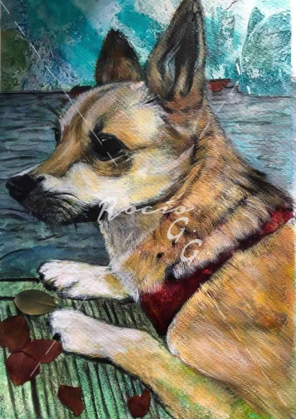 Perrita Pancho